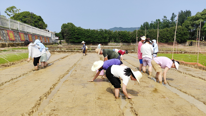 1686106416259036490.jpg 图片1.jpg